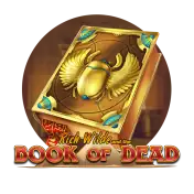 Book of Dead Huippu Casino